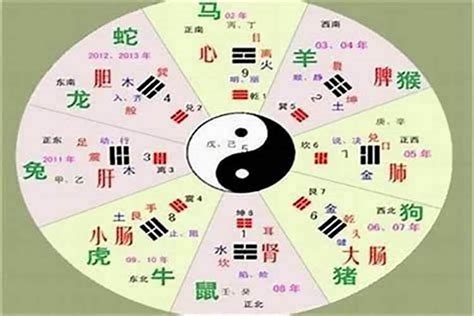 雯字五行|五行汉字属性查询